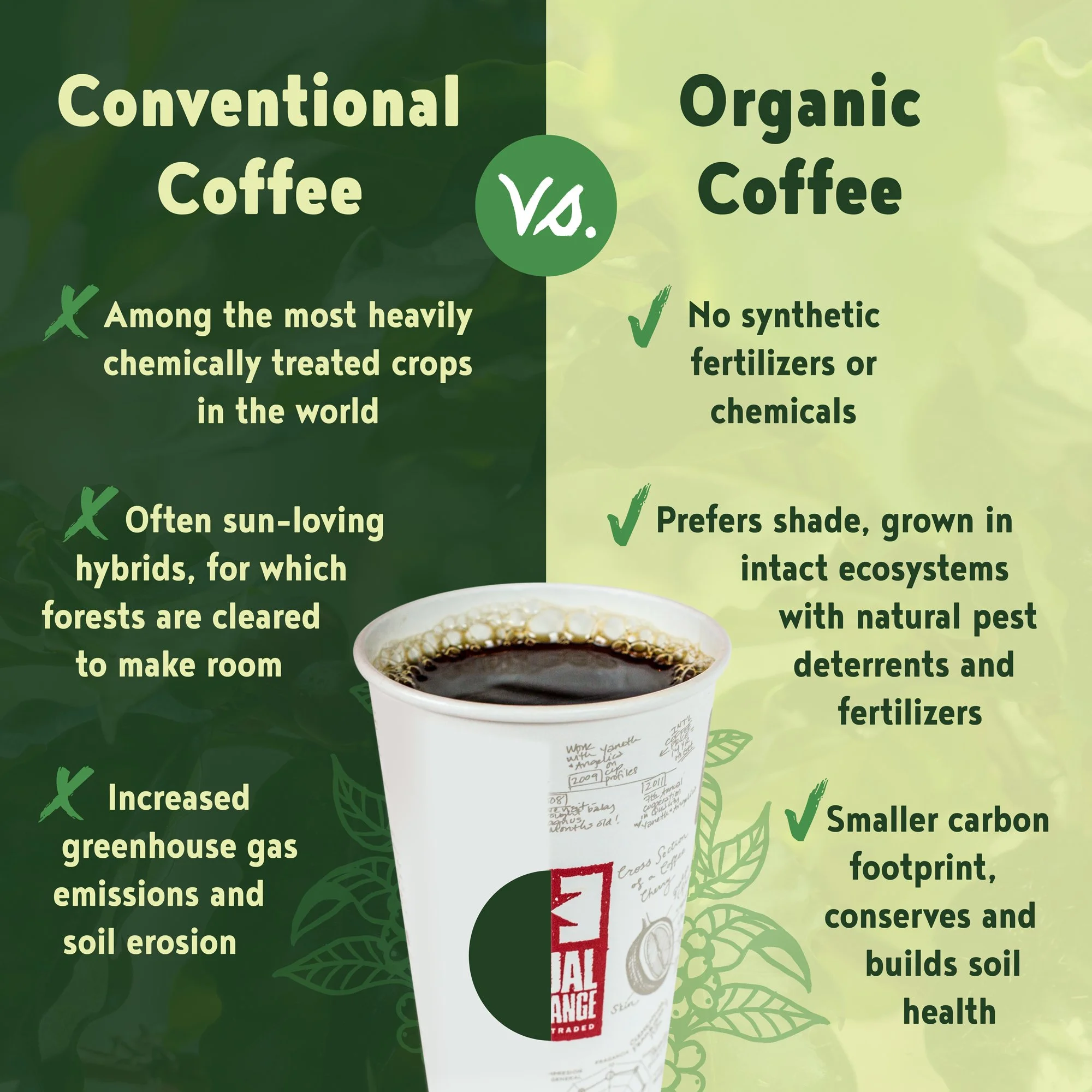 organic vs normal coffee